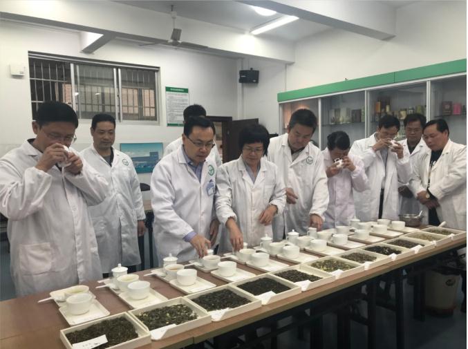 瀟湘茶業(yè)開展花茶審評(píng)和座談會(huì)，劉仲華院士等專家共謀花茶產(chǎn)業(yè)發(fā)展